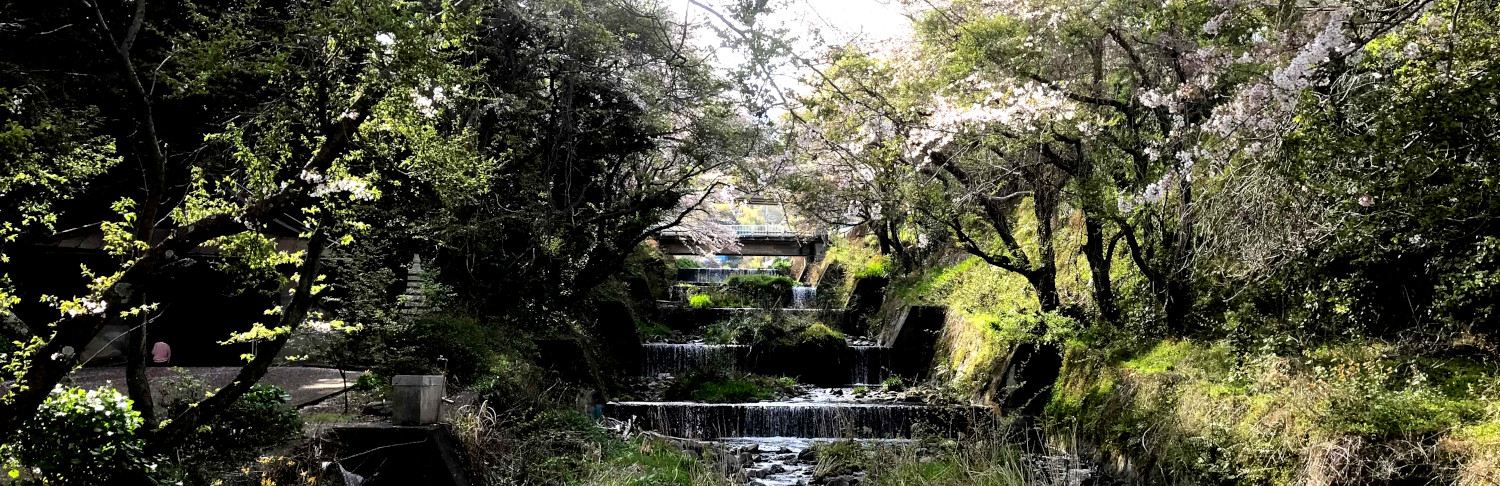 白糸川河口